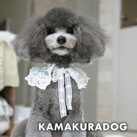 【犬 スカーフ】ティアードレーススカーフ 鎌倉DOG スカーフ 人気