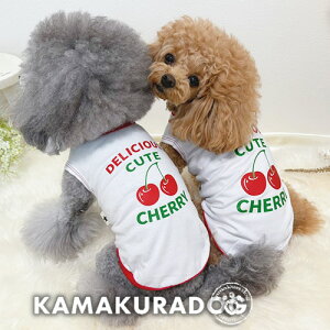 y  gbvXzcute&yummy`F[^Ngbv qDOG gbvX lC ( ̕  ^ ^Ngbv gCv[ _bNX ` hbOEFA  킢 S  )