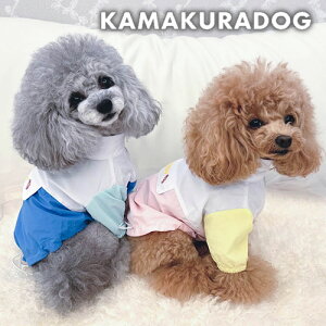 y  TVczLfBEBhu[J[ qDOG gbvX lC ( ̕  ^ WPbg gCv[ _bNX ` hbOEFA  킢 )