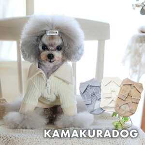 y  H~zn[tWbvR[fCgbvX qDOG gbvX lC ( ̕  ^ Z[^[ gCv[ _bNX ` hbOEFA  킢 )