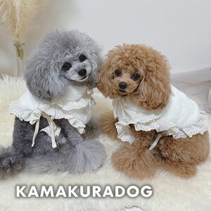 y12/1ijISi|Cg2{Izy  xXgzrbgt@[P[vxXg qDOG gbvX lC ( ̕  ^ xXg gCv[ _bNX ` hbOEFA 