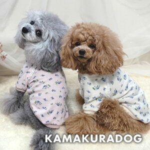 y  TVczt[btgbvX qDOG gbvX lC ( ̕  ^ Vc gCv[ _bNX ` hbOEFA  킢 )