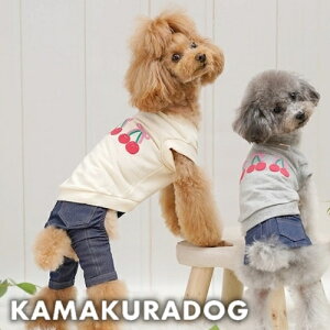 y  g[i[zgvCHERRYXEFbg qDOG gbvX lC ( ̕  ^ Vc gCv[ _bNX ` hbOEFA  킢 )