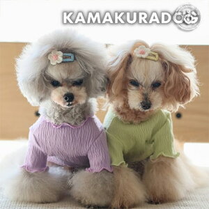 y  TVczbV[tgbvX qDOG gbvX lC ( ̕  ^ Vc gCv[ _bNX ` hbOEFA  킢 )