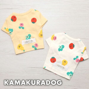 y  TVczX}CxWTV[g qDOG gbvX lC ( ̕  ^ Vc gCv[ _bNX ` hbOEFA  킢 )