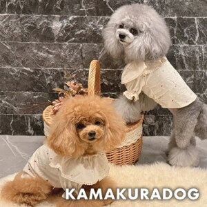 y  uEXzv`n[gtuEX qDOG gbvX lC ( ̕  ^ Vc gCv[ _bNX ` hbOEFA  킢 )