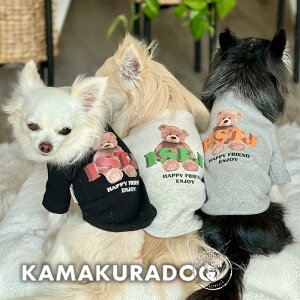 y  TVczMBTIxAgbvX qDOG gbvX lC ( ̕  ^ Vc gCv[ _bNX ` hbOEFA  킢 )