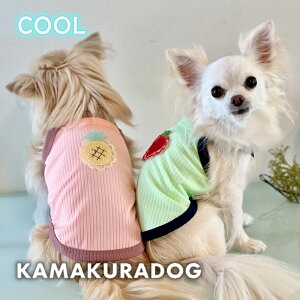 y  L~zlICOOLL~ qDOG gbvX lC ( ̕  ^ L~\[ gCv[ _bNX ` hbOEFA  킢 )