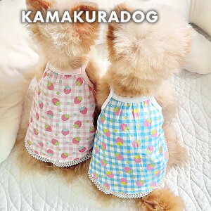 y̕z`FbNL~s ( ̕ ^ gCv[h _bNX ` hbOEFA ybg  킢 s[X L~\[  Xgx[)