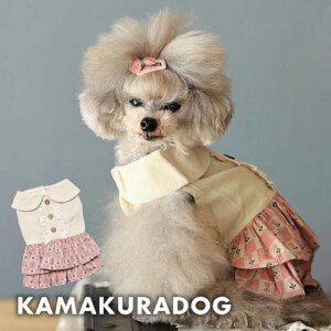 y  s[Xzt[Jg[s[X qDOG s lC ( ̕  ^ s[X gCv[ _bNX ` hbOEFA  킢 )