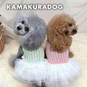 y  s[XzxA``s qDOG hX lC ( ̕  ^ s[X gCv[ _bNX ` hbOEFA  킢 )