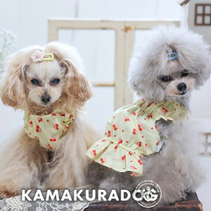 y  s[XzCG[`F[s qDOG s lC ( ̕  ^ s[X gCv[ _bNX ` hbOEFA  킢 )