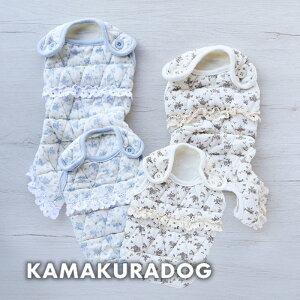 y  Ȃz[bgLgxXgEȂ qDOG xXg lC ( ̕  ^ Ȃ gCv[ _bNX ` hbOEFA  킢 )