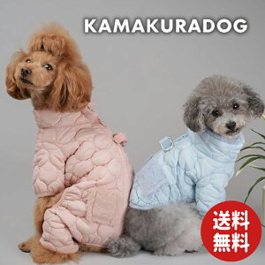 y  @H WPbgzłLeBOWPbg qDOG AE^[ lC ( ̕  ^ WPbg gCv[ _bNX ` hbOEFA  킢 )