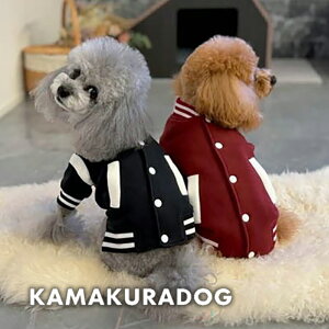 y  WPbgzJbWX^W qDOG AE^[ lC ( ̕  ^ WPbg gCv[ _bNX ` hbOEFA  킢 )