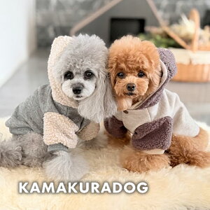 y  WPbgz{ARrWPbg qDOG AE^[ lC ( ̕  ^ WPbg gCv[ _bNX ` hbOEFA  킢 )