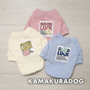 y  @H g[i[zObhbNg[i[ qDOG gbvX lC ( ̕  ^ Vc gCv[ _bNX ` hbOEFA  킢 )