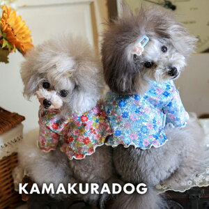 y  @H TVczEt[V[g qDOG gbvX lC ( ̕  ^ Vc gCv[ _bNX ` hbOEFA  킢 )