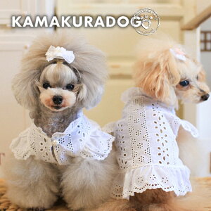 y  s[XzACbg[Xs[X qDOG uEX lC ( ̕  ^ s[X gCv[ _bNX ` hbOEFA  킢 )