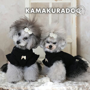 y  s[Xzm[`[s[X qDOG hX lC ( ̕  ^ s[X gCv[ _bNX ` hbOEFA  킢 )