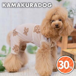 y12/1ijISi|Cg2{Izy̕zȂ悵xArbĝȂs[X