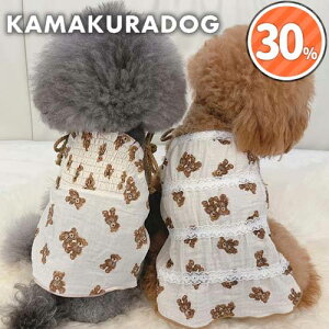 y   N} z efBxAuEXL~s qDOG gbvX ( ̕  ^ gCv[h _bNX ` hbOEFA ybg  킢 t)