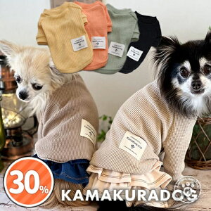 y   bt TVc zIWibtVc qDOG gbvX lC ( ̕  ^ gCv[h _bNX ` hbOEFA ybg  킢 )