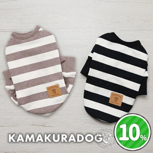 y  T zNEWOX[ugbvXȂ qDOG ( ̕ ^ gCv[h _bNX ` hbOEFA ybg  킢 H ~)