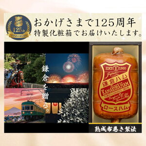 yzuqnx KDA-605S `Enz[Xnv Ε Ε Ε Mtg qn n z 蕨  v[g