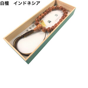 ˔@ jp 21 Ўq[h@[