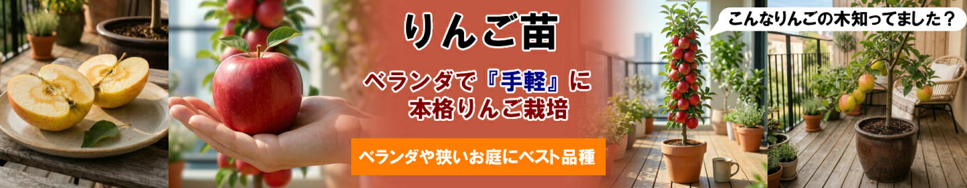 りんご苗