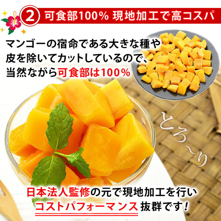 ⑨ ヤマシタマンゴー 耐寒性 特選フルーツ（マンゴー苗 耐寒性ヤマシタ 