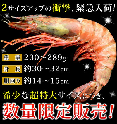 楽天市場 食品ジャンルで選ぶ 魚介類 シーフード ぷりっぷりのエビ 皇帝の海老ブランド シータイガー 釜庄 楽天市場店