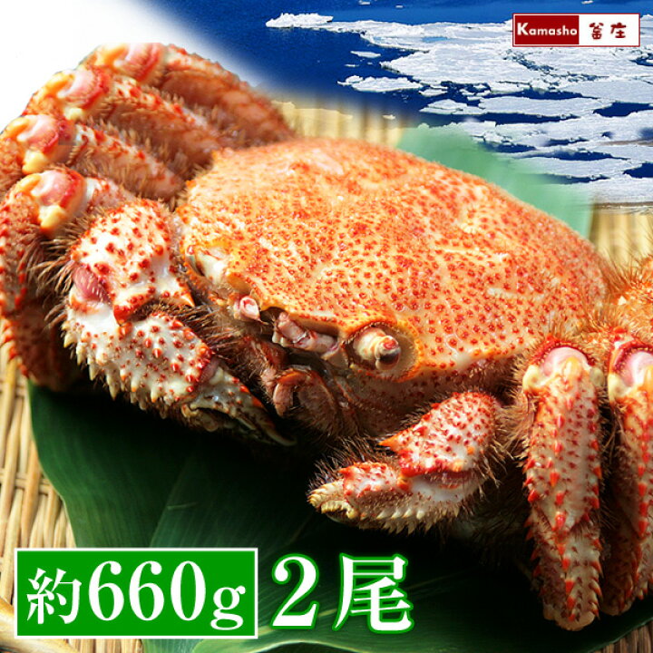 2280円 店舗良い 活毛がに 400g 2尾セット 北海道産 極上毛ガニ お中元 ギフト お土産 通販 あすつく北海道 2280円 店舗良い 活毛がに 400g 2尾セット 北海道産 極上毛ガニ お中元 ギフト お土産 通販 あすつく北海道