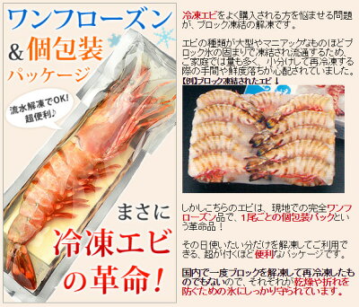 楽天市場 食品ジャンルで選ぶ 魚介類 シーフード ぷりっぷりのエビ 皇帝の海老ブランド シータイガー 釜庄 楽天市場店