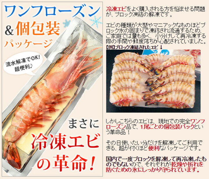 楽天市場 皇帝の海老 天然 シータイガー 超特大サイズ エビ えび 海老 超特大 冷凍 1尾 230 2g 約30 32cm 個包装パック バーベキュー 誕生日 あす楽 釜庄 楽天市場店