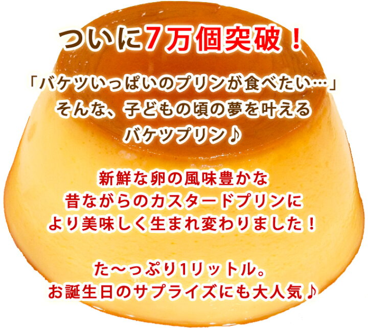 楽天市場 クーポン使用で15 オフ 子供 や 友達 への 誕生日プレゼント に アリスの バケツプリン 敬老の日 プレゼント ギフト 敬老の日ギフト 送料無料 冷凍 誕生日ケーキ ギフト パーティー かわいい 誕生日ギフト プリン ぷりん お取り寄せ あす楽 釜庄 楽天