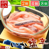 塩辛 イカ塩辛 【手造り いか塩辛 2パック 4パック 8パック】 いかの塩辛 イカの塩辛 イカ いか 珍味 お…