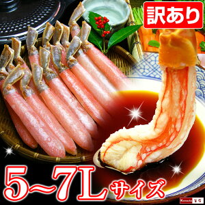 y󂠂艿iE̐ʌz 5Lor6Lor7LTCY YCKj Jj ɂ |[V 500g 1pbN 10{or13{or15{ I ނg Jj ⓀyA̗R͕Ky[W