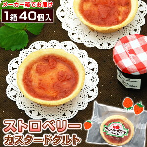 y20OFFIyVX[p[SALEzwZH Xgx[JX^[h^g 140 Ⓚ ol Ɩp wZHfU[g H fU[g Xgx[^g ^g C`S^