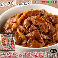 大盛牛カルビ焼肉丼の具 1食150g 冷凍 日東ベスト 【選べる5食 10食 20食】 大盛り つゆだく 味濃いめ 焼…