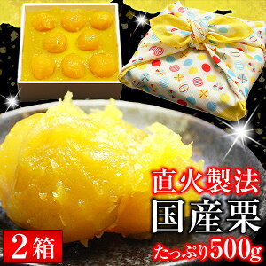 IƂ y 嗱 Y IƂ 1500g Iiz 肫Ƃ IXC[c aَq iꕔnjⓀ Ε Ε 2025 - 2026 ΕMtg y Mt