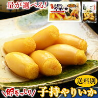 【100gは入荷待ち】子持ヤリイカ 1パック 100g or 500g 単品 ／ 子持ちやりいか 子持やりいか 子持ちヤリ…