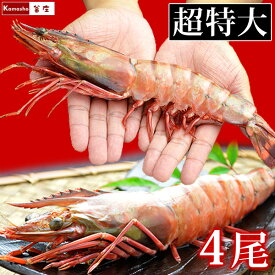 楽天市場 シータイガーの通販