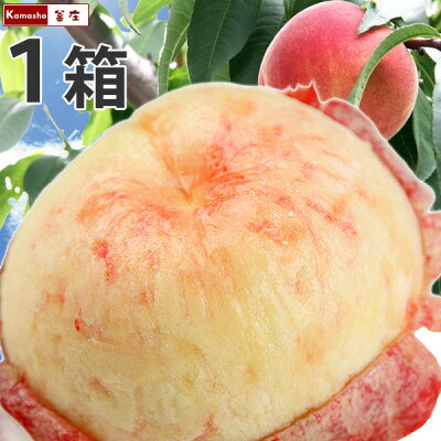 記事番号:34294/アイテムID:359342の画像