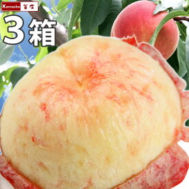 楽天市場 お中元 産地 都道府県 福島 桃 フルーツ 果物 食品の通販