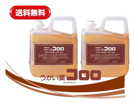 コロロ 5L 2本セット サラヤ うがい薬 12834指定医薬部外品 うがいぐすり 口腔 口臭 エチケット 対策 予防 ウイルス オフィス 会社 家庭用 ウィルス 安心 日本製 安全 5リットル 大容量 詰替え まとめ買い 業務用
