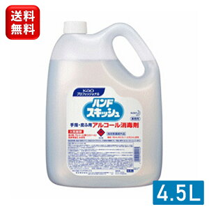 ԉ nhXLbV 4.5L mYt kao wŉt wō wpAR[ AR[ŉt AR[ ŗpAR[ Ɩp  e ECX w lߑւ  