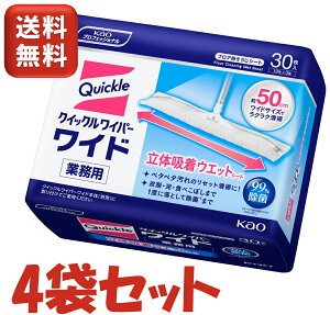 ԉ NCbNCp[ Chp ̋zEGbgV[g 10×3 4 Zbg Ɩp P[X | | ChTCY tA HX { NCbNCp[Ch EGbg V[g 唻