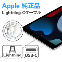 楽天市場】ipad 第7世代 充電ケーブルの通販